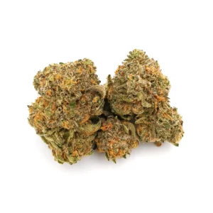 Dr. Grinspoon